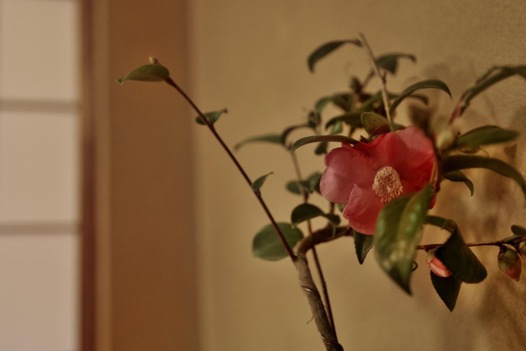 Mitsuki Kyoto Hotel Kültér fotó
