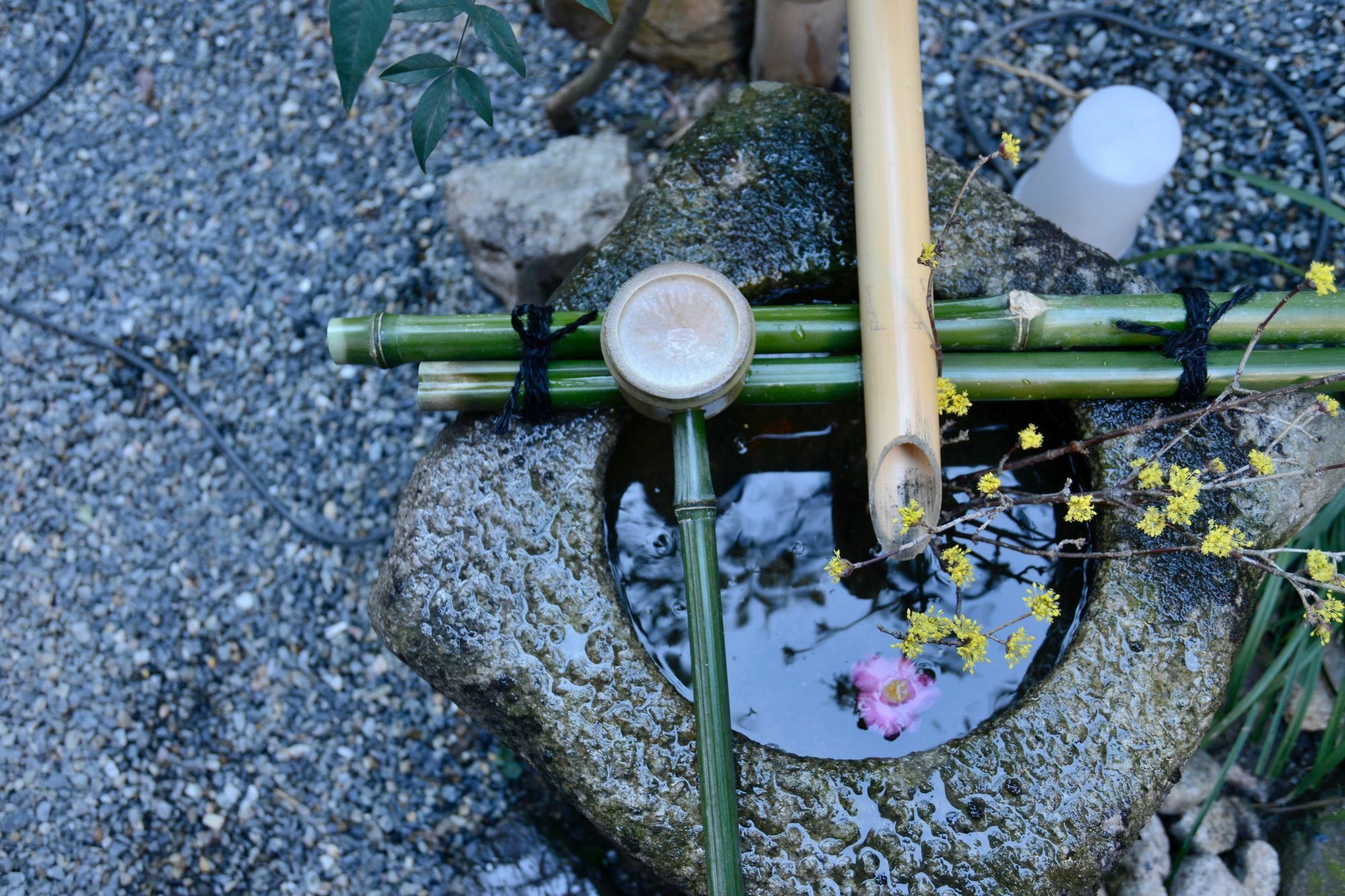 Mitsuki Kyoto Hotel Kültér fotó