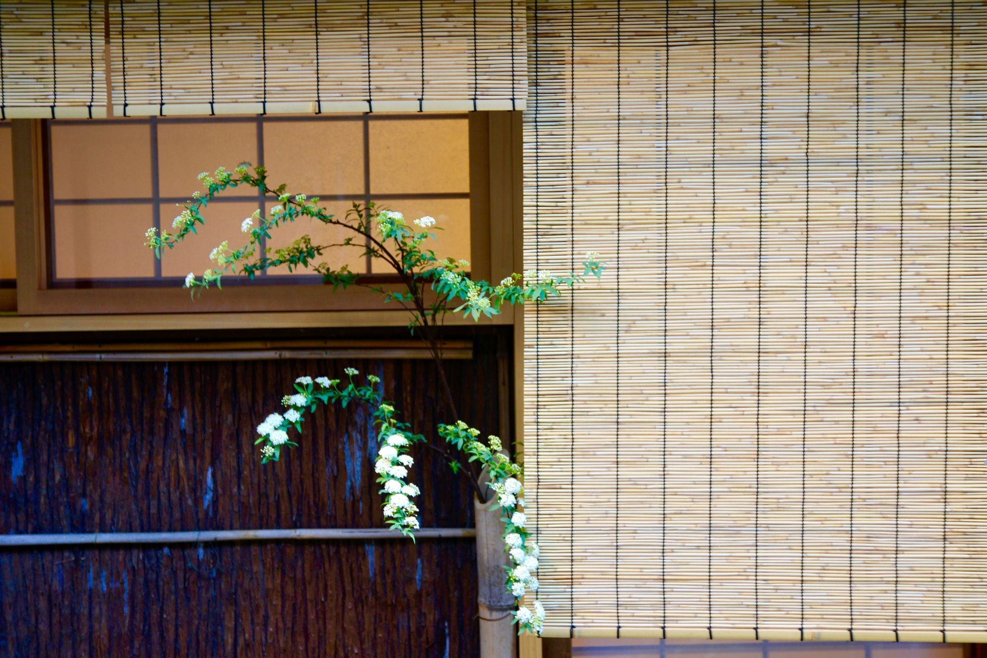 Mitsuki Kyoto Hotel Kültér fotó