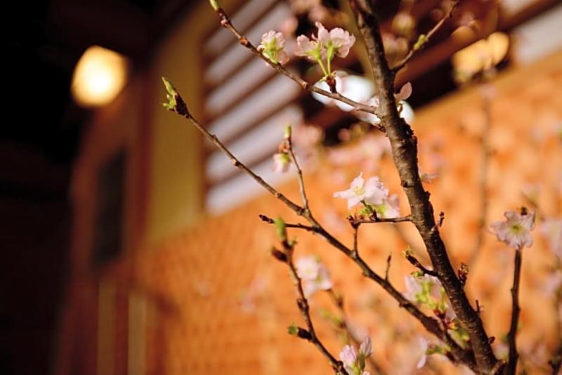 Mitsuki Kyoto Hotel Kültér fotó